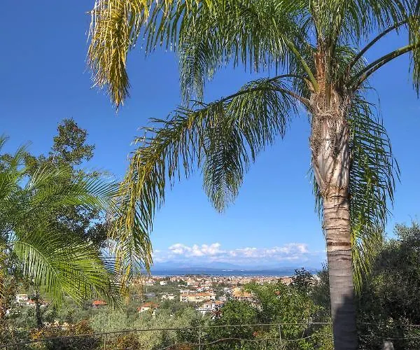 Alea Willa Apolpaina